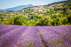 Village de Provence vu depuis un champ de lavande en fleurs, destination idéale pour un séjour en groupe en village de vacances France dans le sud de la France