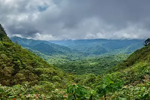 Forêt tropicale luxuriante au Costa Rica, destination nature pour un séjour à l’étranger avec VTF