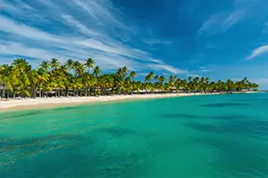 Plage de sable blanc et cocotiers en Guadeloupe, destination tropicale pour un voyage organisé avec VTF à l’étranger